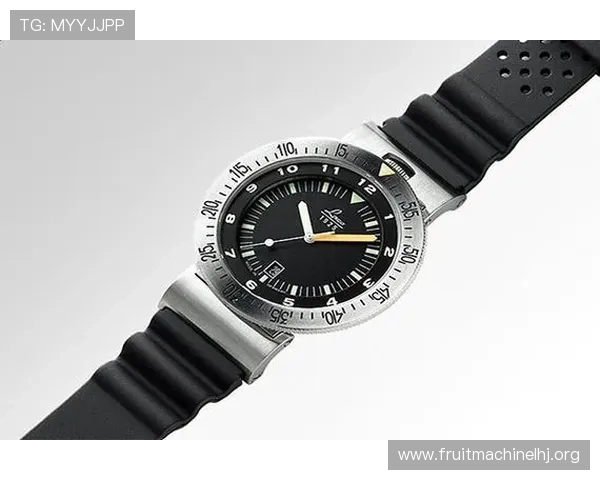 pg网站集团网址官方入口更新公告及安全登录指南