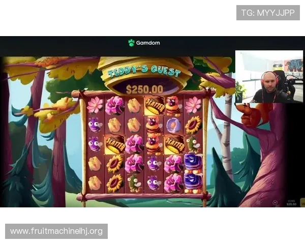 全面解析免费PG电子单机PC端游戏安装与运行技巧，助你轻松上手体验